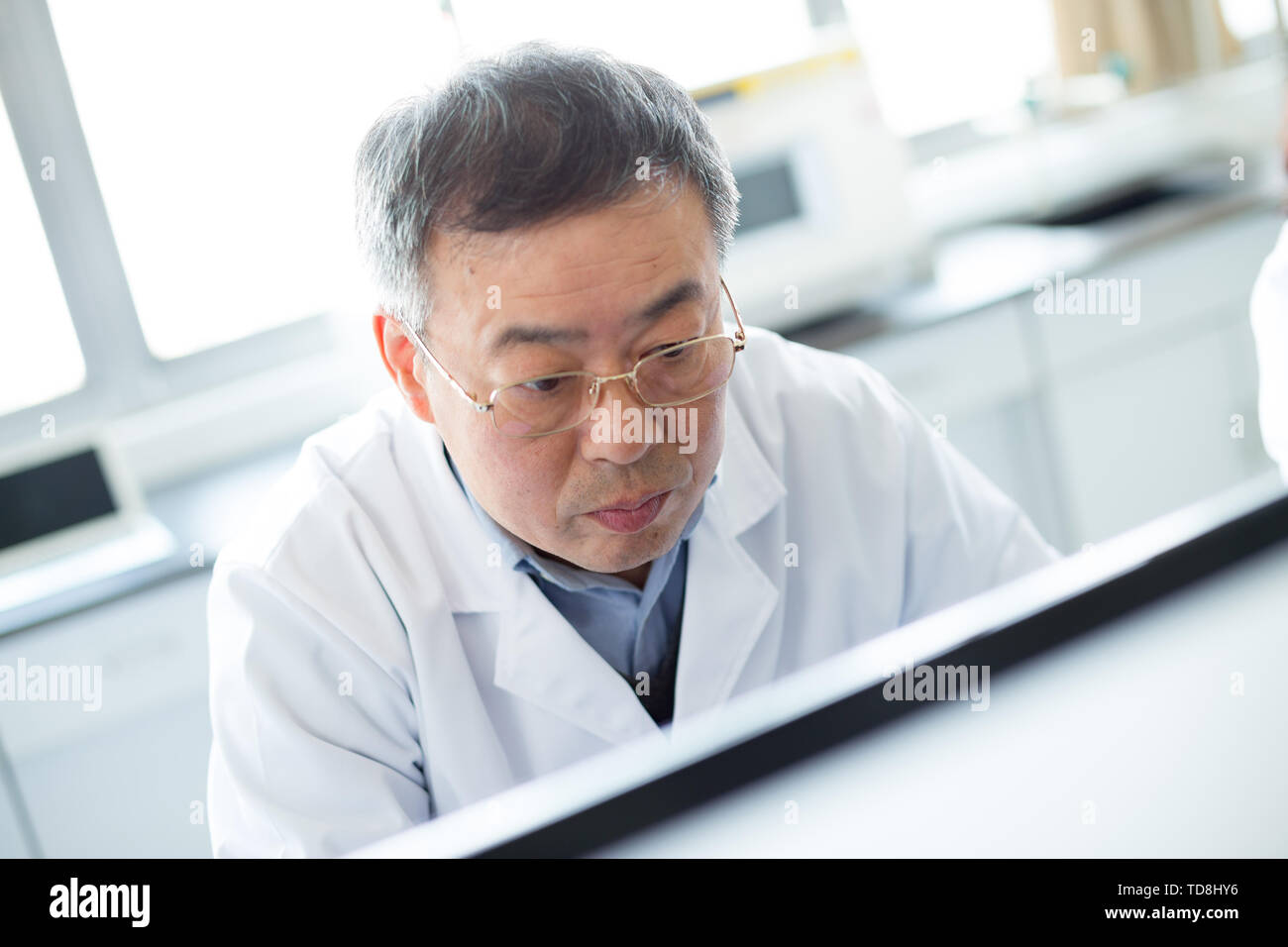 Asian old man analysises experimental data in lab Stock Photo