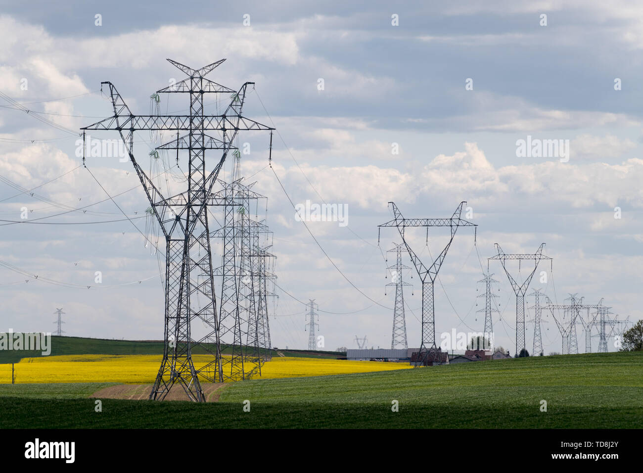 High voltage power lines in Pelplin, Poland May 7th 2019 © Wojciech
