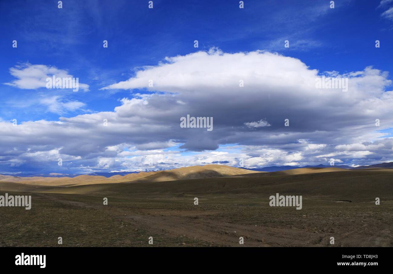 Scenery of Tibetan Shannan Plateau Stock Photo
