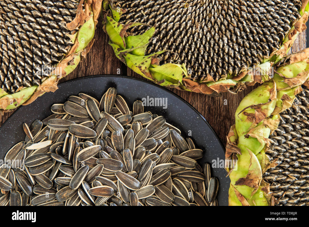 Fruit of sunflower sunflower seeds Stock Photo Alamy