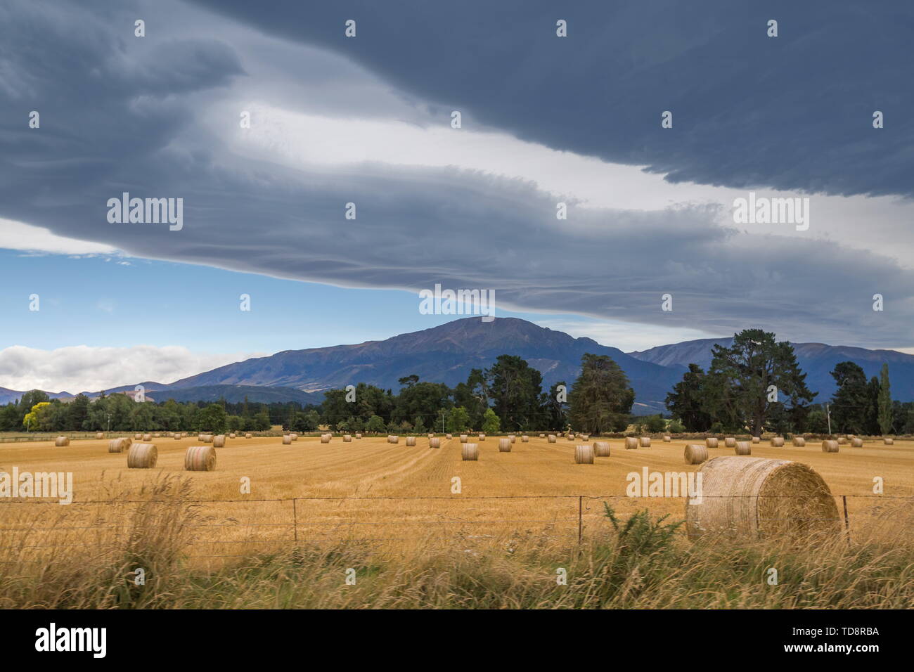 New Zealand ranch Stock Photo Alamy