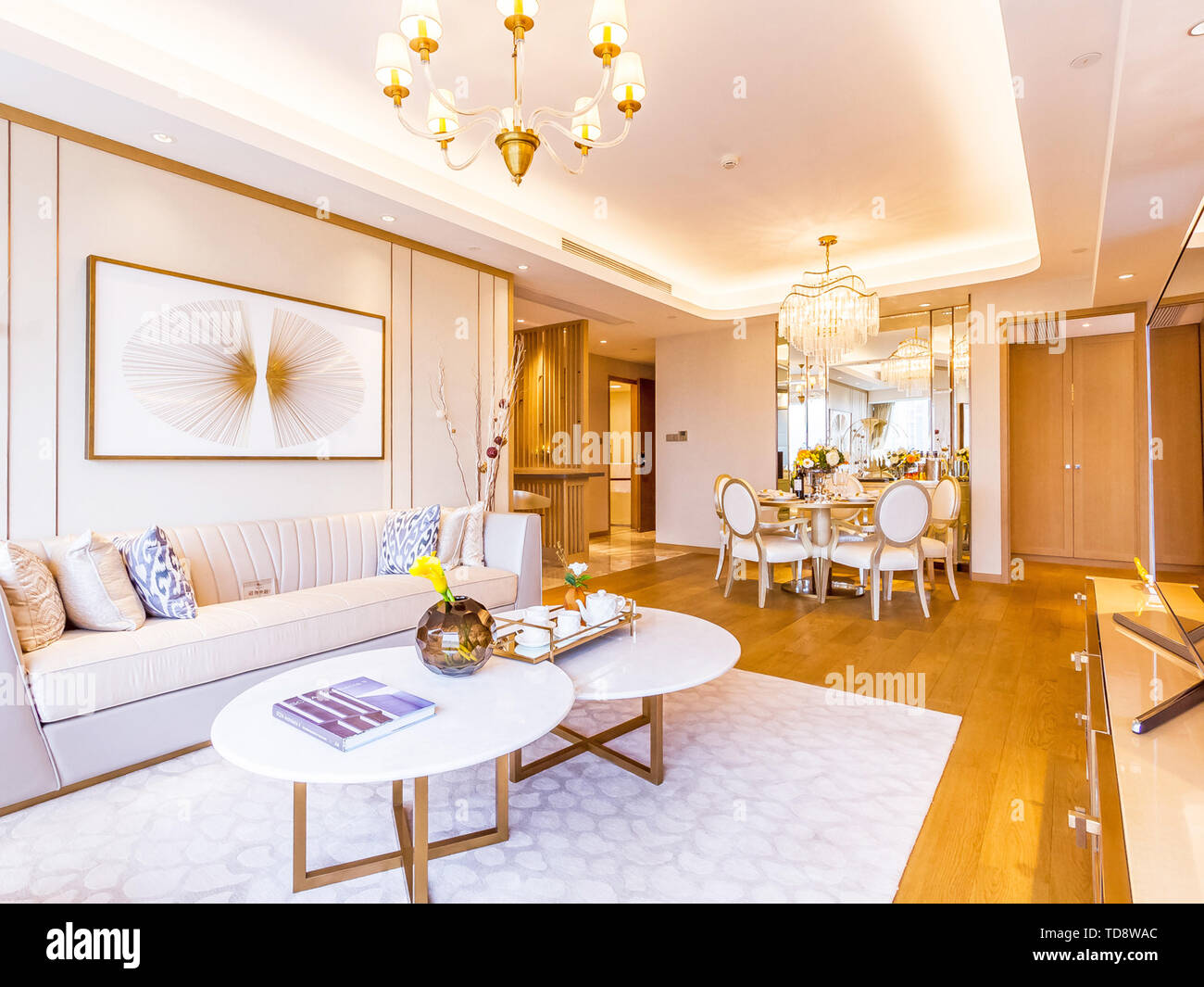 Living Room Hall Decoration Luxury Interior Design Decoration