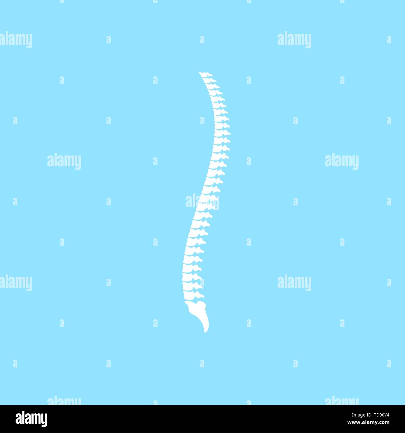 Scoliosis vector vectors hi-res stock photography and images - Alamy