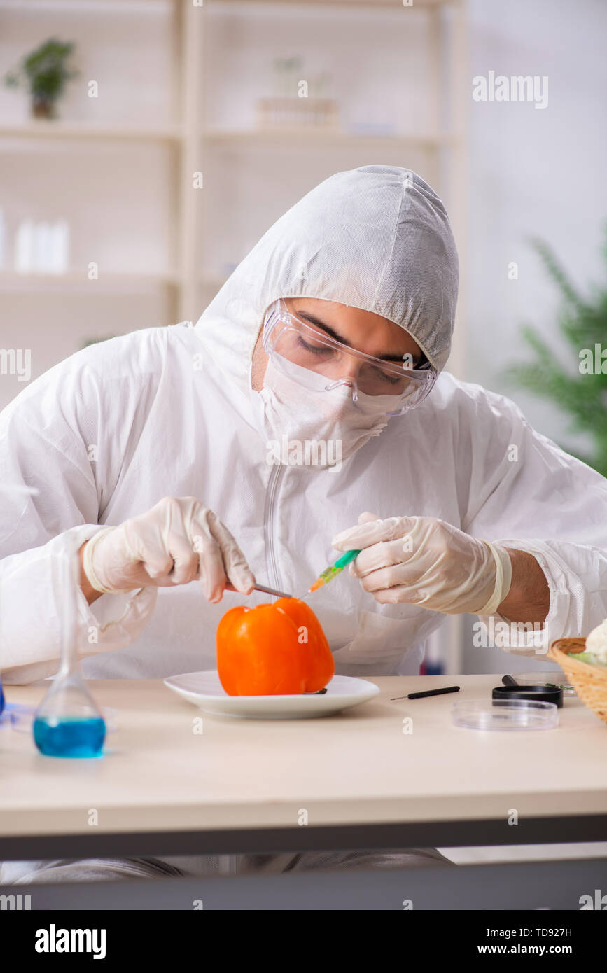 Scientist working in lab on GMO fruits and vegetables Stock Photo Alamy