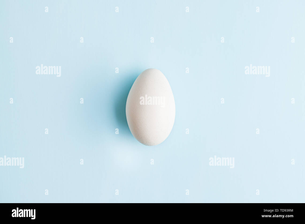 White chicken egg on blue background. Top view. Stock Photo