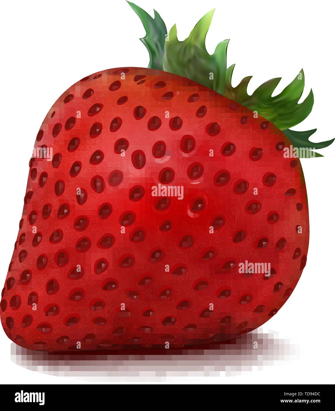 Juicy red vector Strawberry isolated on white background Stock Vector ...