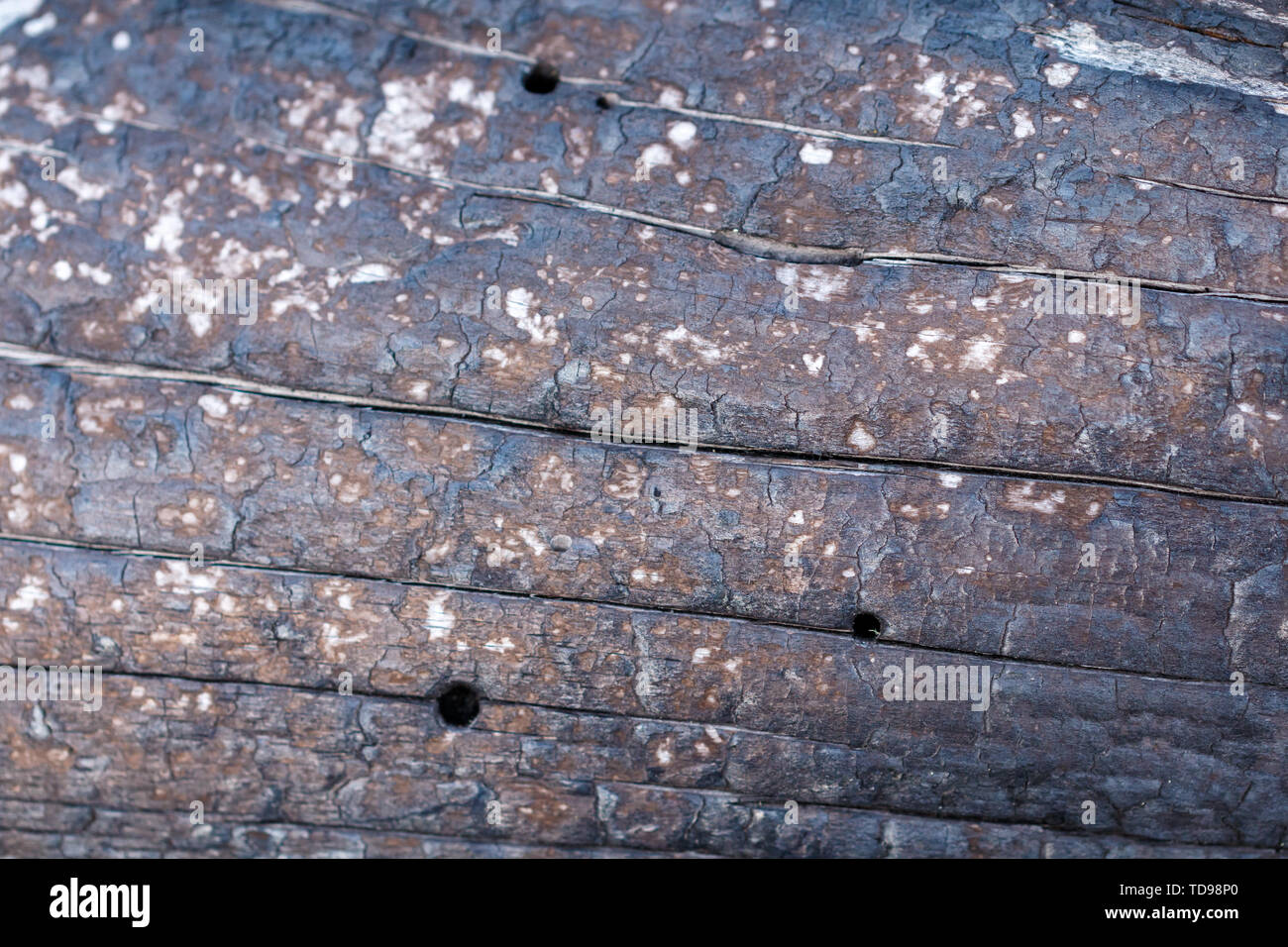 Black Charred Burned Wood Background Texture Stock Photo