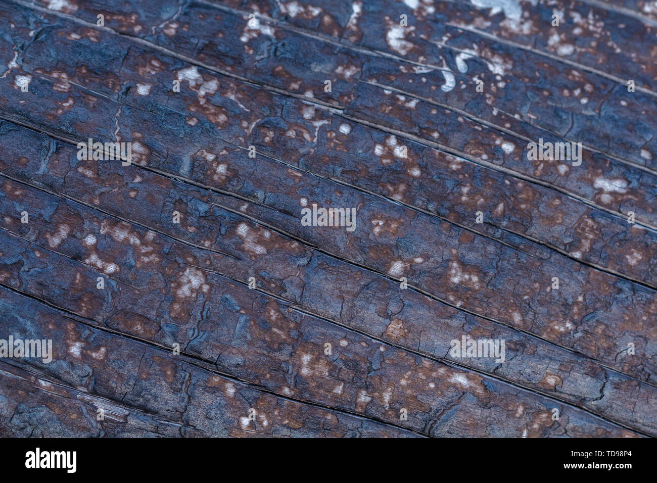 Black Charred Burned Wood Background Texture Stock Photo