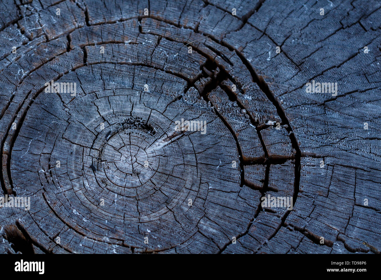 Black Charred Burned Wood Background Texture Stock Photo