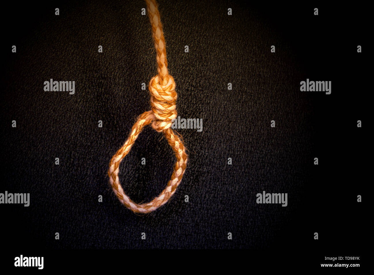 Jute rope tree hi-res stock photography and images - Alamy