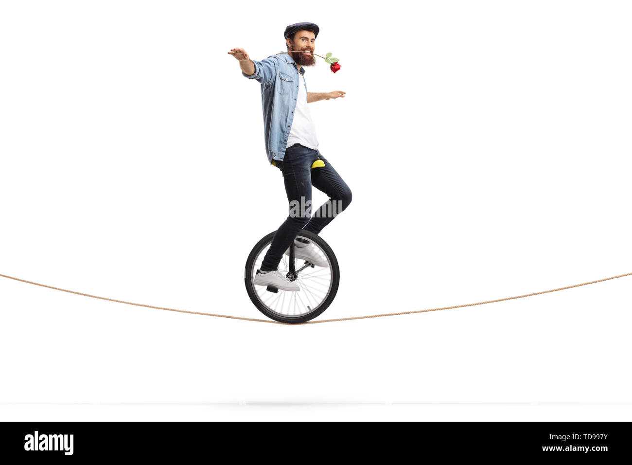 Full length shot of a bearded young man riding a unicycle on a rope and holding a red rose with his mouth isolated on white background Stock Photo