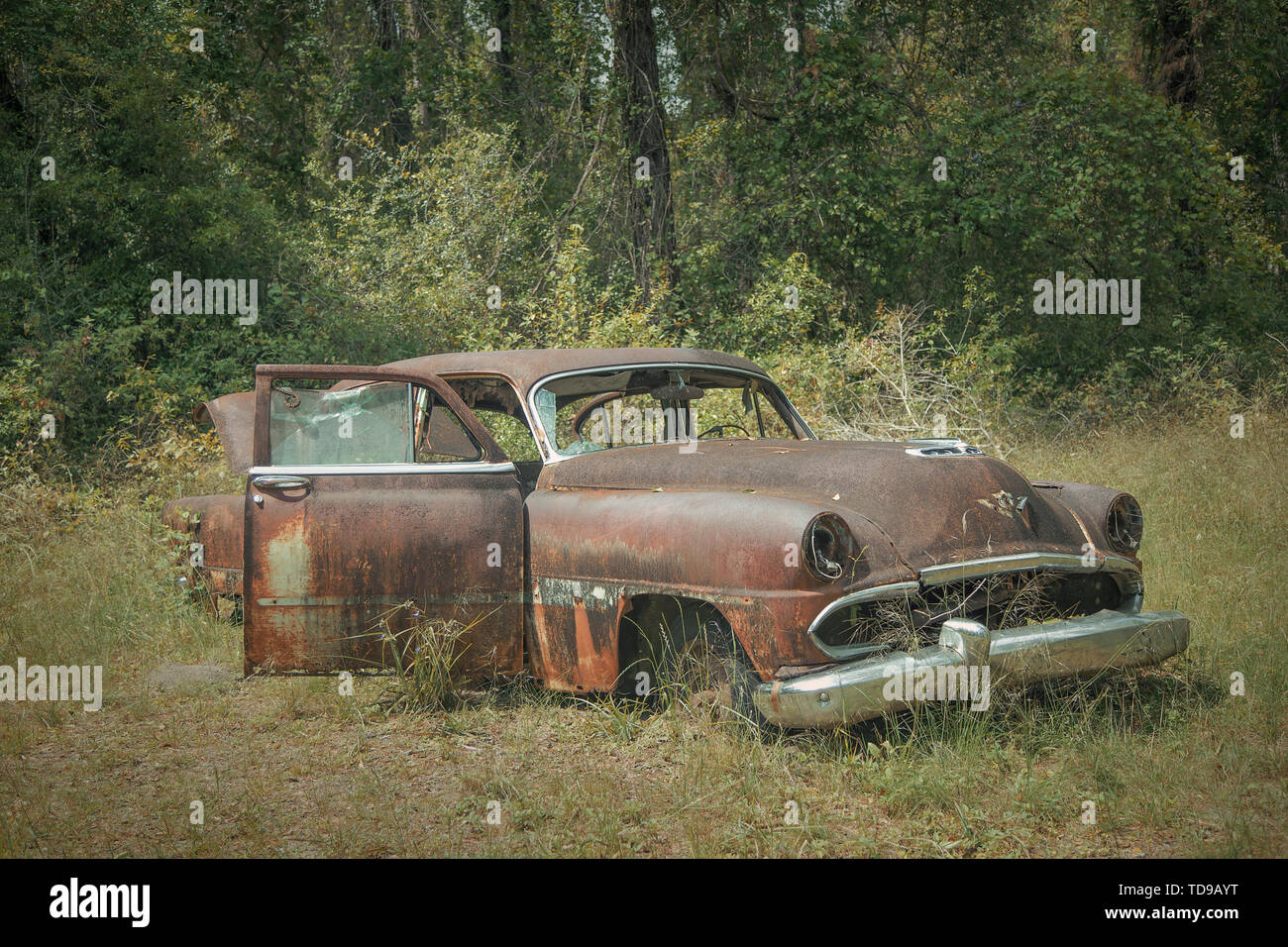 Roadside Rusted Old Ford Trucks And Cars In Florida Stock Photo