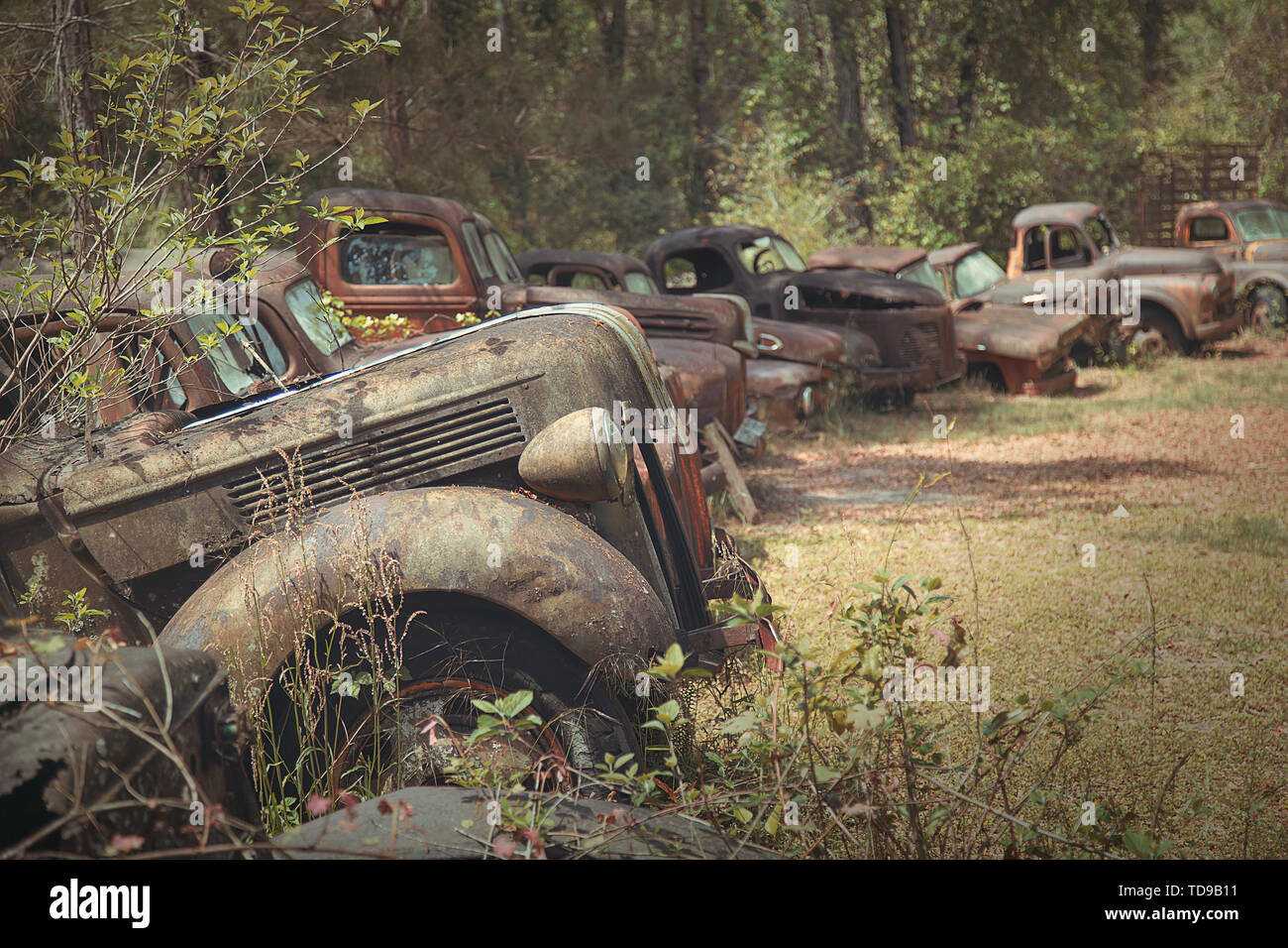 Ford junkyard 2024