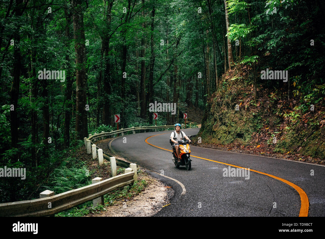 Man with backpack sits on road through green Bilar Man-Made Forest, Bohol, Philippines Stock Photo