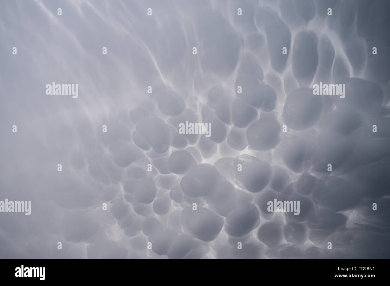 Cloudscape of mammatus clouds before a thunderstorm. Stock Photo