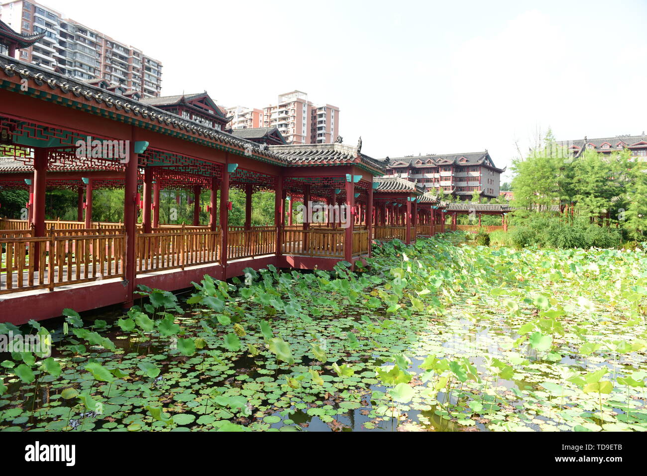 Antique architecture and lotus pavilion lotus Stock Photo Alamy