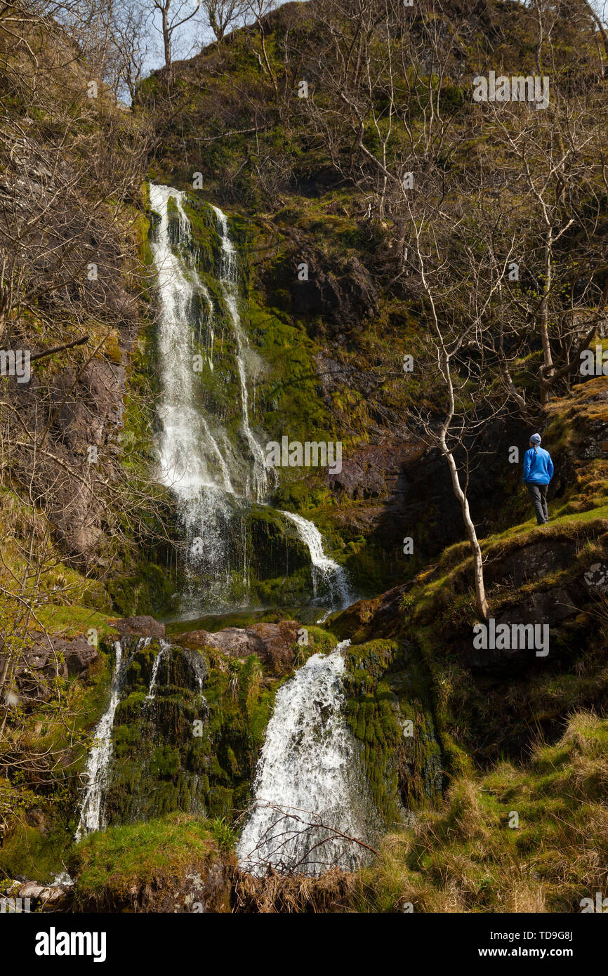 A walker standing near a large waterfall in Alva Glen, The Ochils,  Clackmannanshire, Scotland Stock Photo