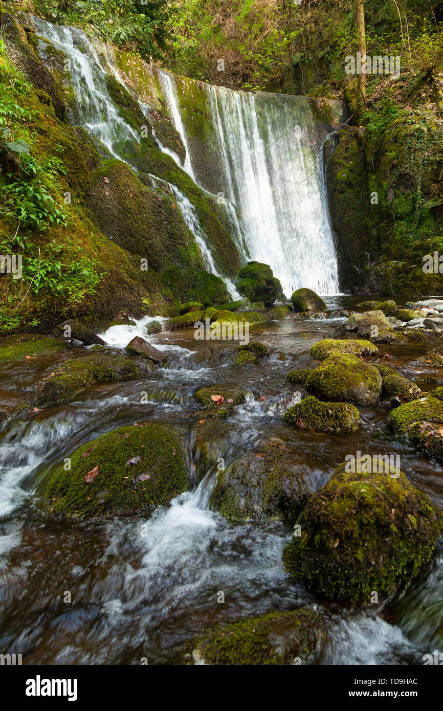 A waterfall in Alva Glen in the Ochil Hills,Clackmannanshire, Scotland, UK Stock Photo