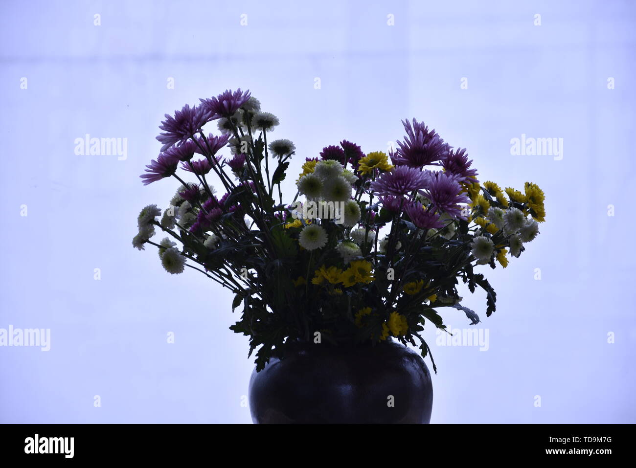 Indoor flower arrangement Stock Photo Alamy