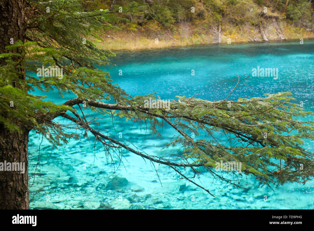 Blue Haizi in Jiuzhaigou, Sichuan Province, China Stock Photo
