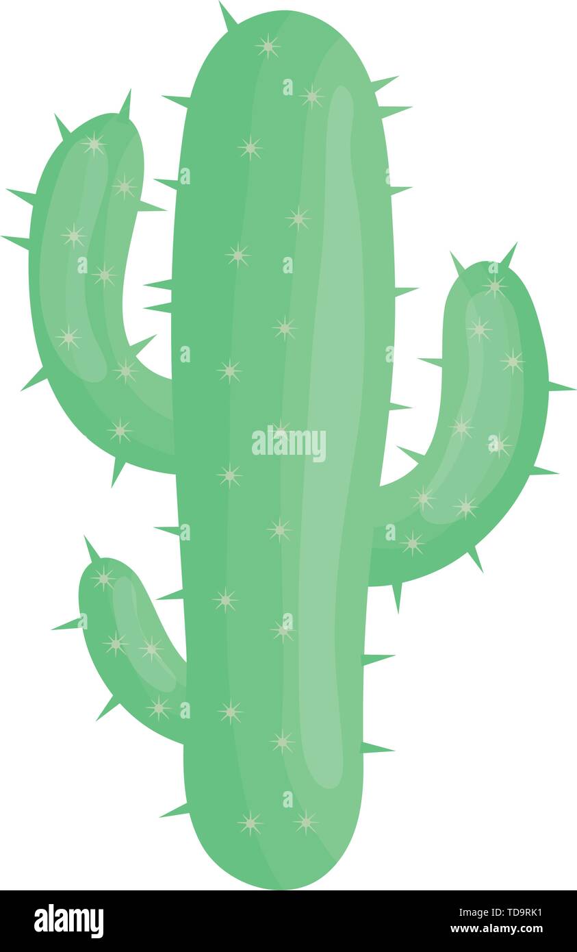 exotic cactus plant natural icon vector illustration design Stock ...