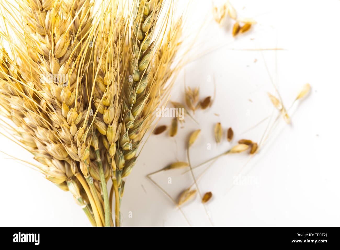wheat ears isolated on white background Stock Photo - Alamy