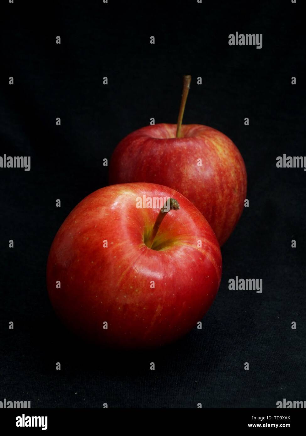 Green fruit, plant, red apple, apple, fruit, organic fruit Stock Photo