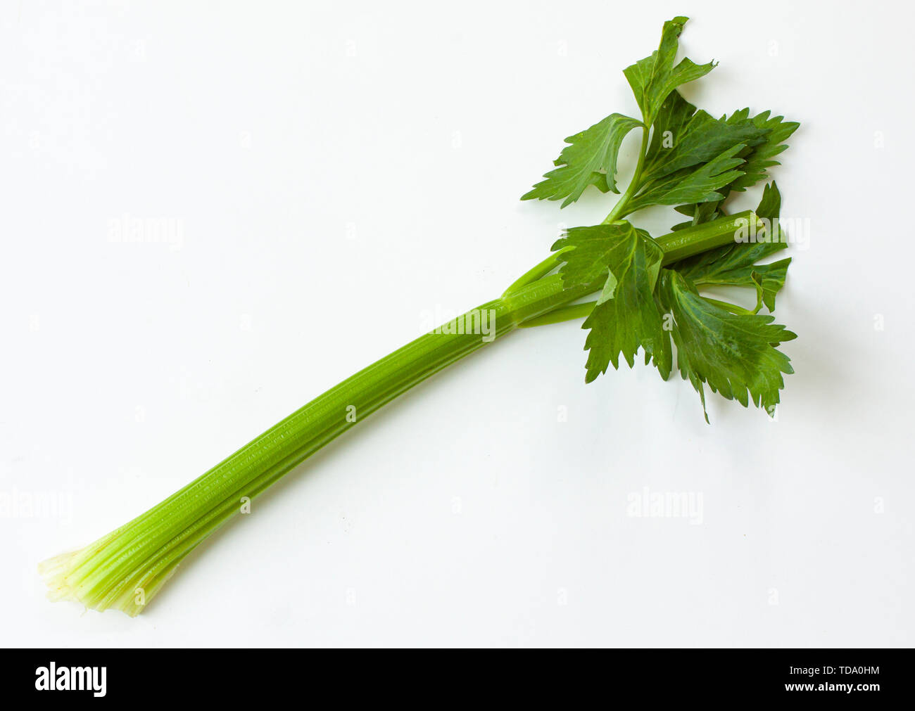 One stem of green celery on white background Stock Photo Alamy