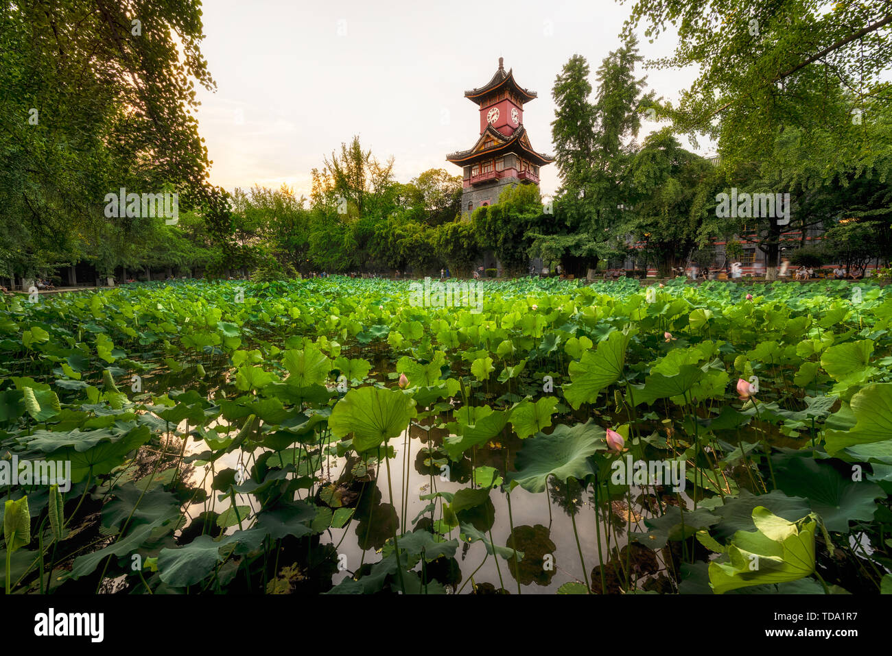 Clock Tower, Huaxi Campus, Sichuan University Stock Photo - Alamy