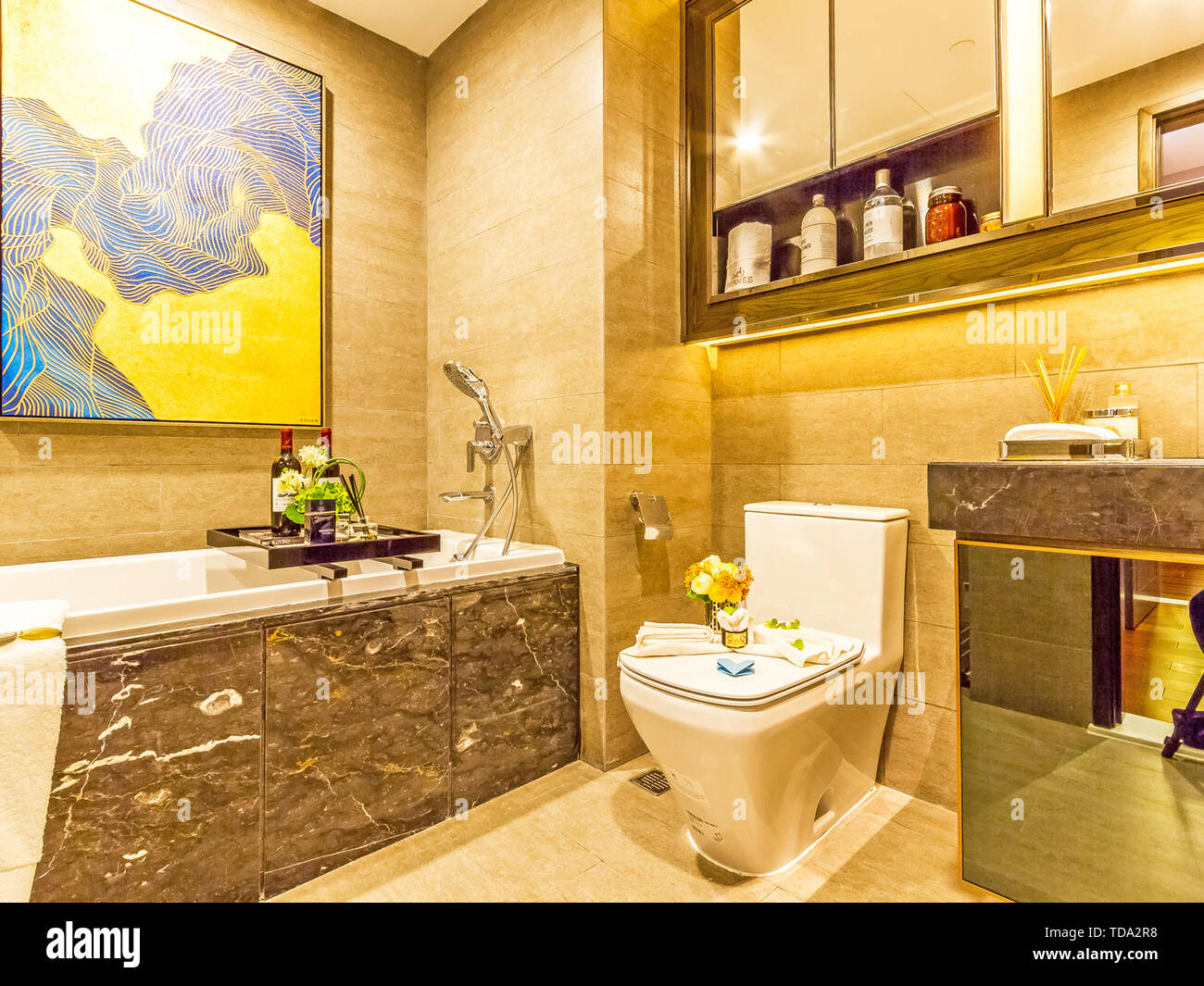 Bathroom and Sanitary Bathroom, Toilet, Shower, Wash, Interior Design