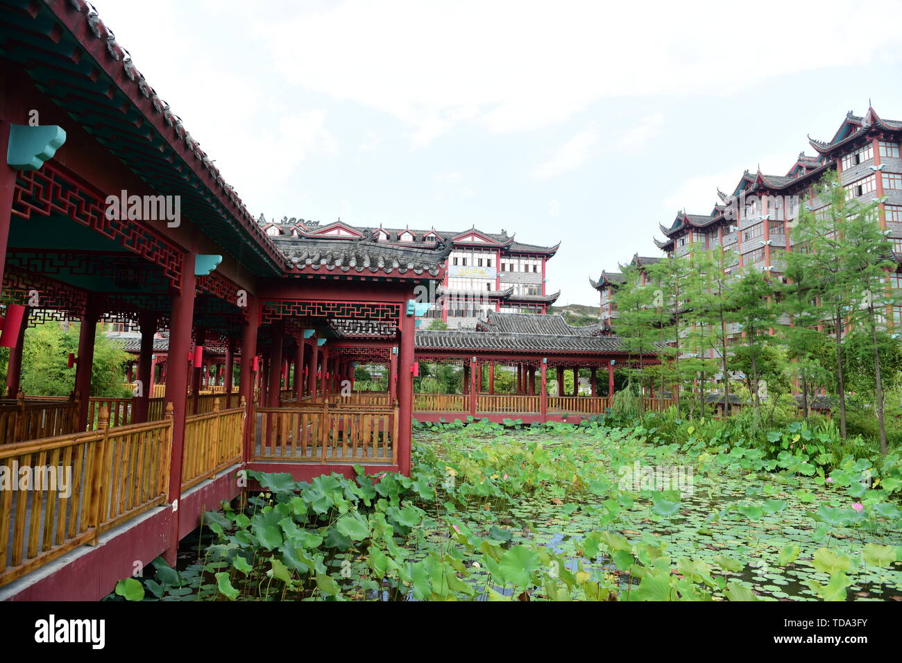 Antique architecture and lotus pavilion lotus Stock Photo Alamy