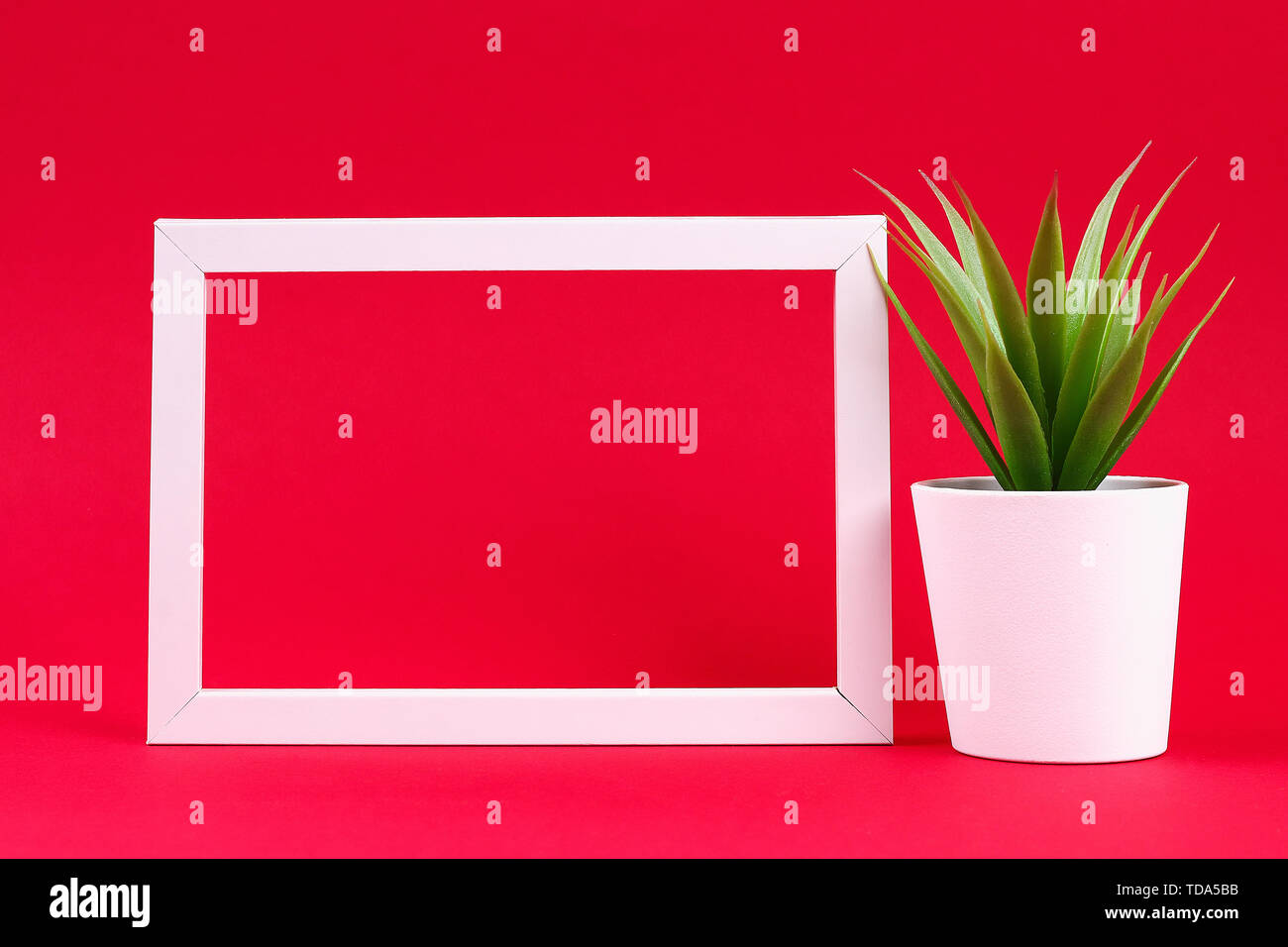 Artificial green grass in a white small pot in a white frame on a red burgundy background. Copy space. Stock Photo