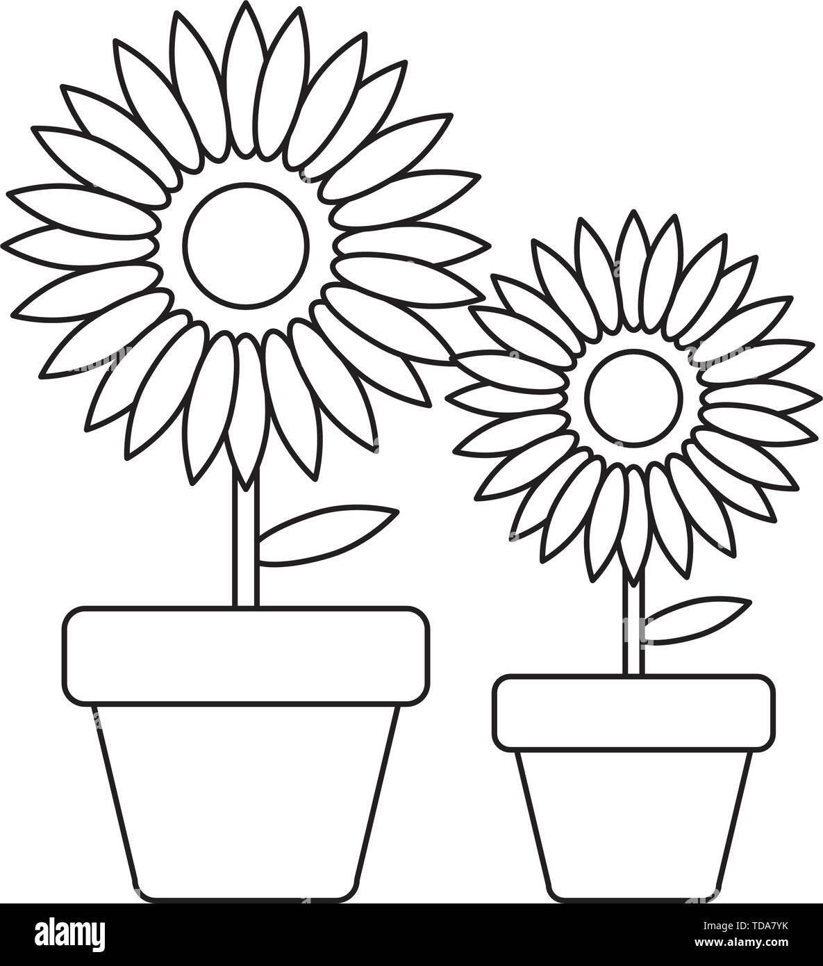 set of sunflowers in pots isolated icon vector illustration design ...