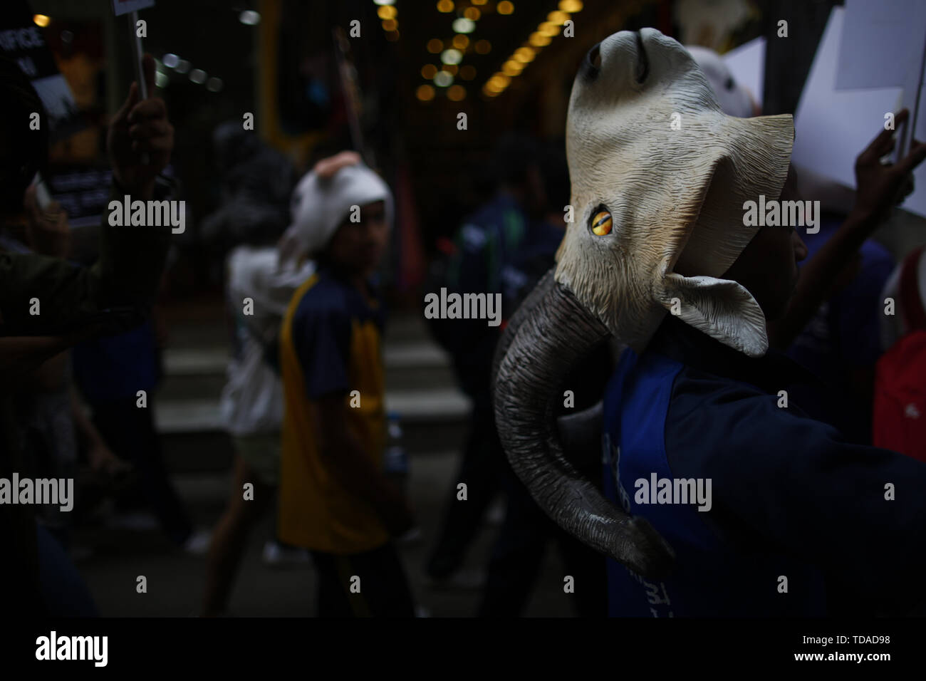 Kathmandu, Nepal. 14th June, 2019. Activists wearing various animal ...