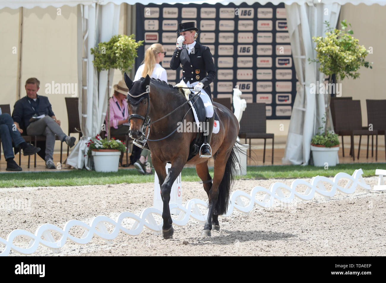 Balve Germany 14th June 2019 Dressage Rider Jessica Von Bredow Werndl Rides Tsf Dalera Bb At The Qualification Test For The German Dressage Championship Credit Friso Gentsch Dpa Alamy Live News Stock Photo Alamy