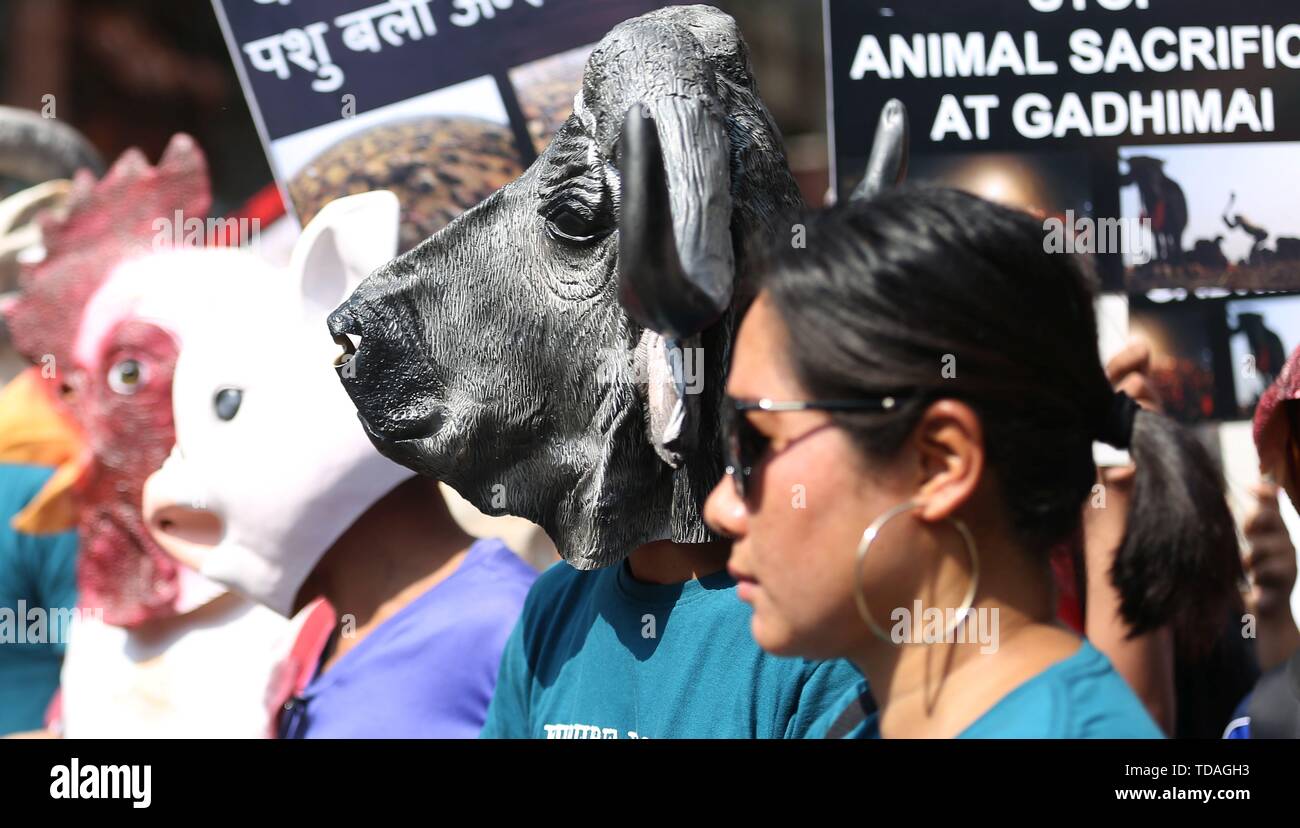 Kathmandu, Nepal. 14th June, 2019. Activists wearing mask of animals ...