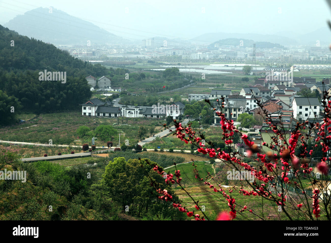 The place where peach blossoms bloom in Yangshan, Tonglu, Hangzhou Stock Photo