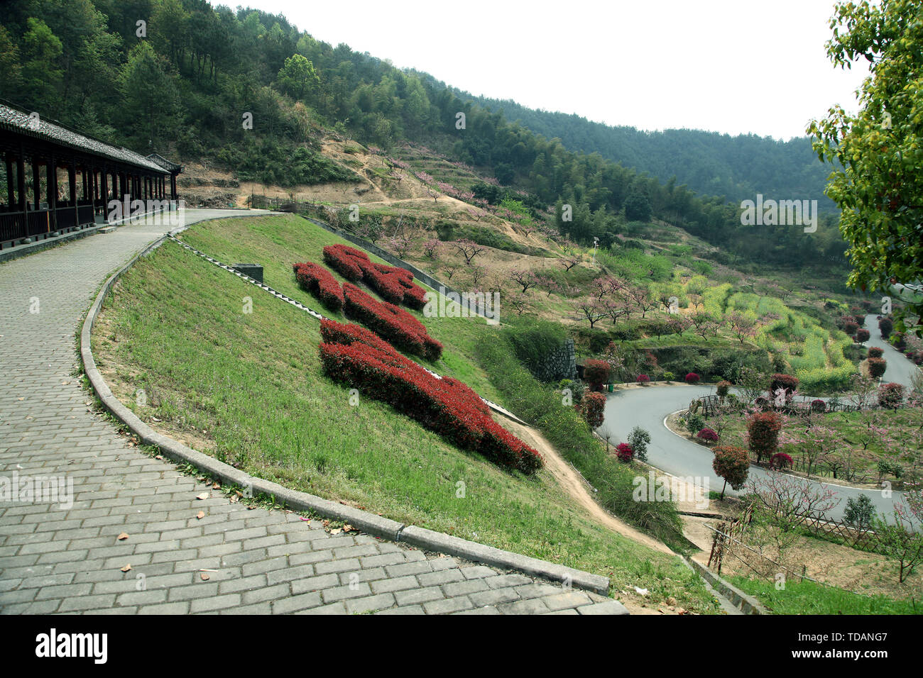 The place where peach blossoms bloom in Yangshan, Tonglu, Hangzhou Stock Photo