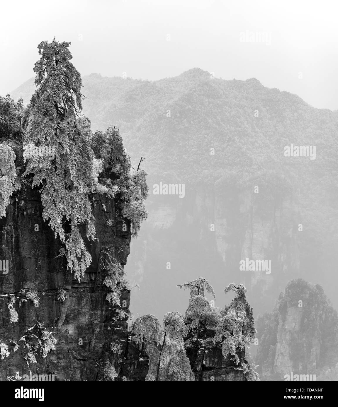 High vision tourism tourism Black and White Stock Photos & Images - Alamy