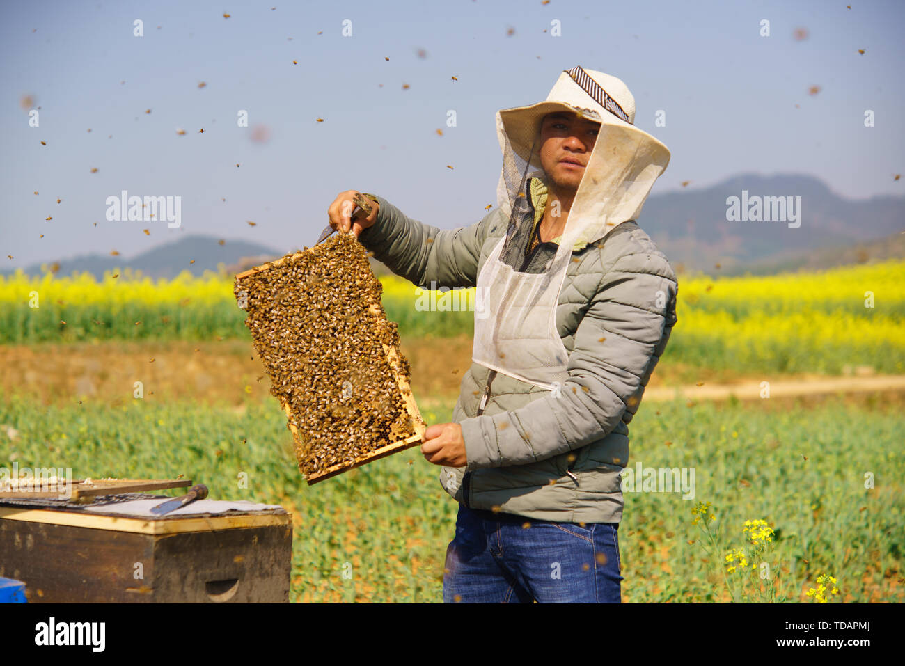 Map of Luoping beekeepers Stock Photo