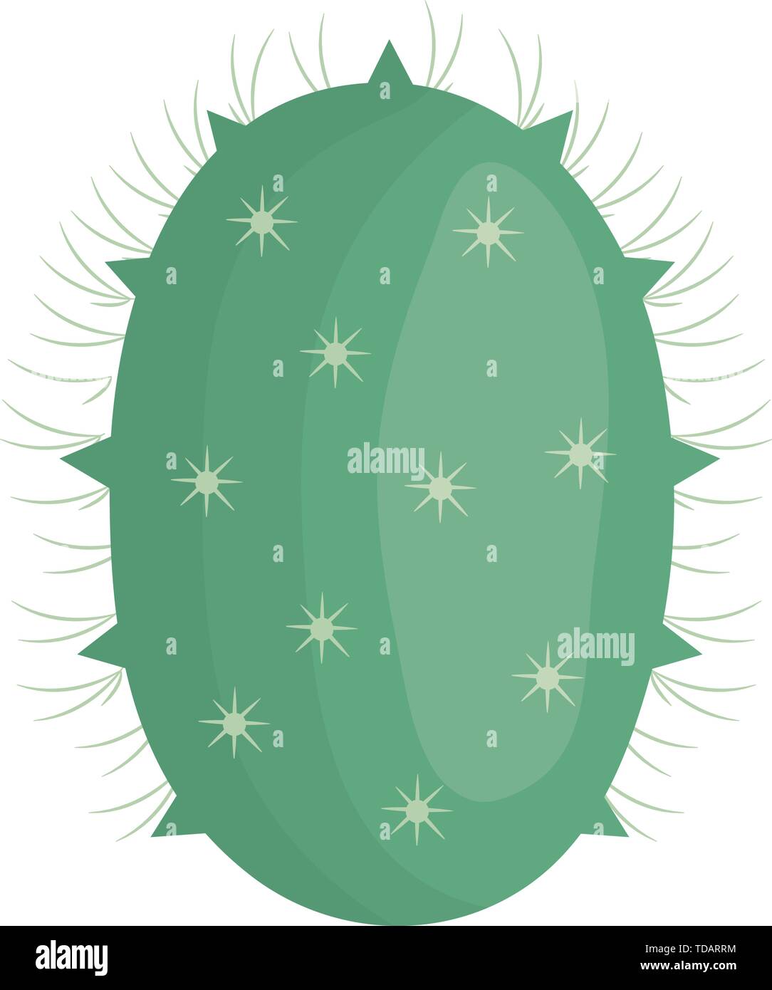 exotic cactus plant natural icon vector illustration design Stock ...
