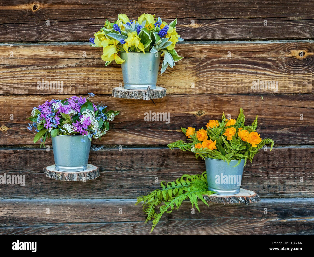 Flower bouquets in tin pots against a wooden rustic wall. Wedding outdoor floristics Stock Photo