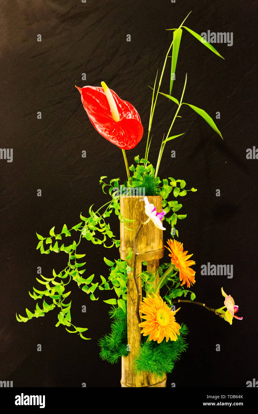 The Art of Flower Arrangement 2 Stock Photo Alamy