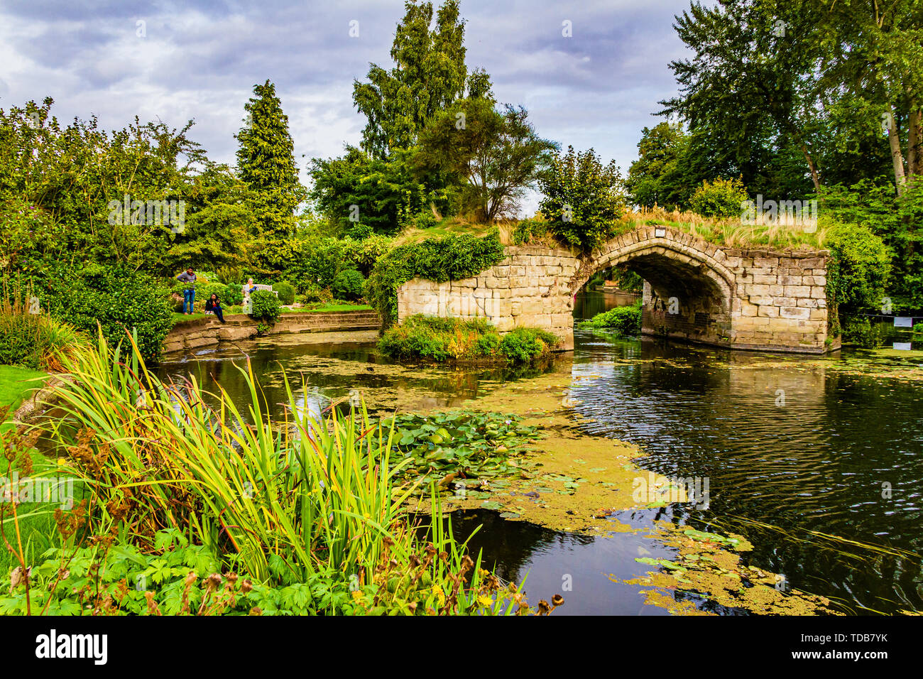 Remains of medieval Old Castle Bridge, that once supported a road over the River Avon & now a romantic ruin. View from the Mill Garden, Warwick, UK. Stock Photo