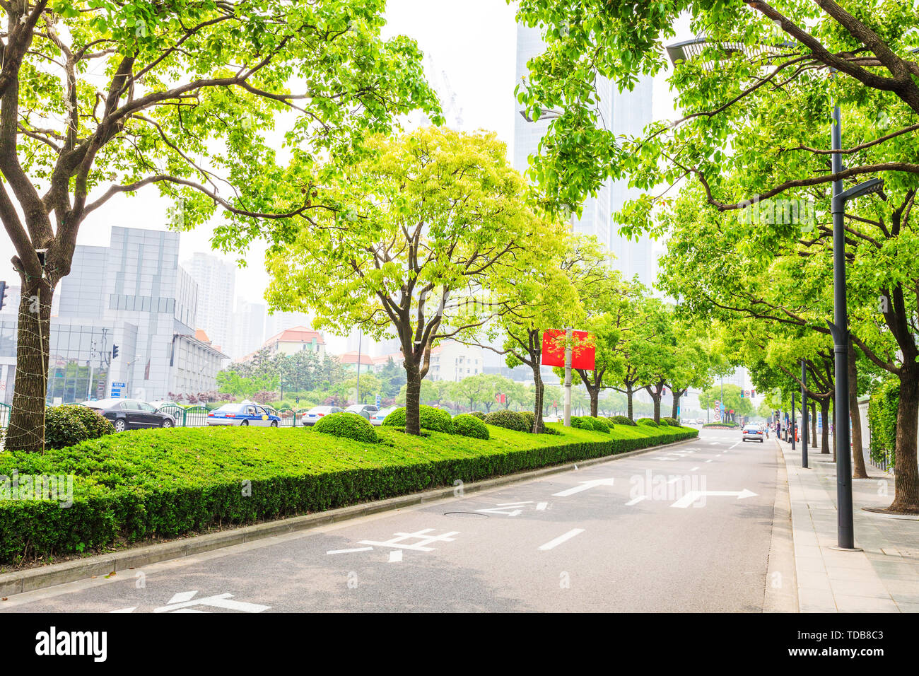 Trees decorated road in modern city Stock Photo - Alamy