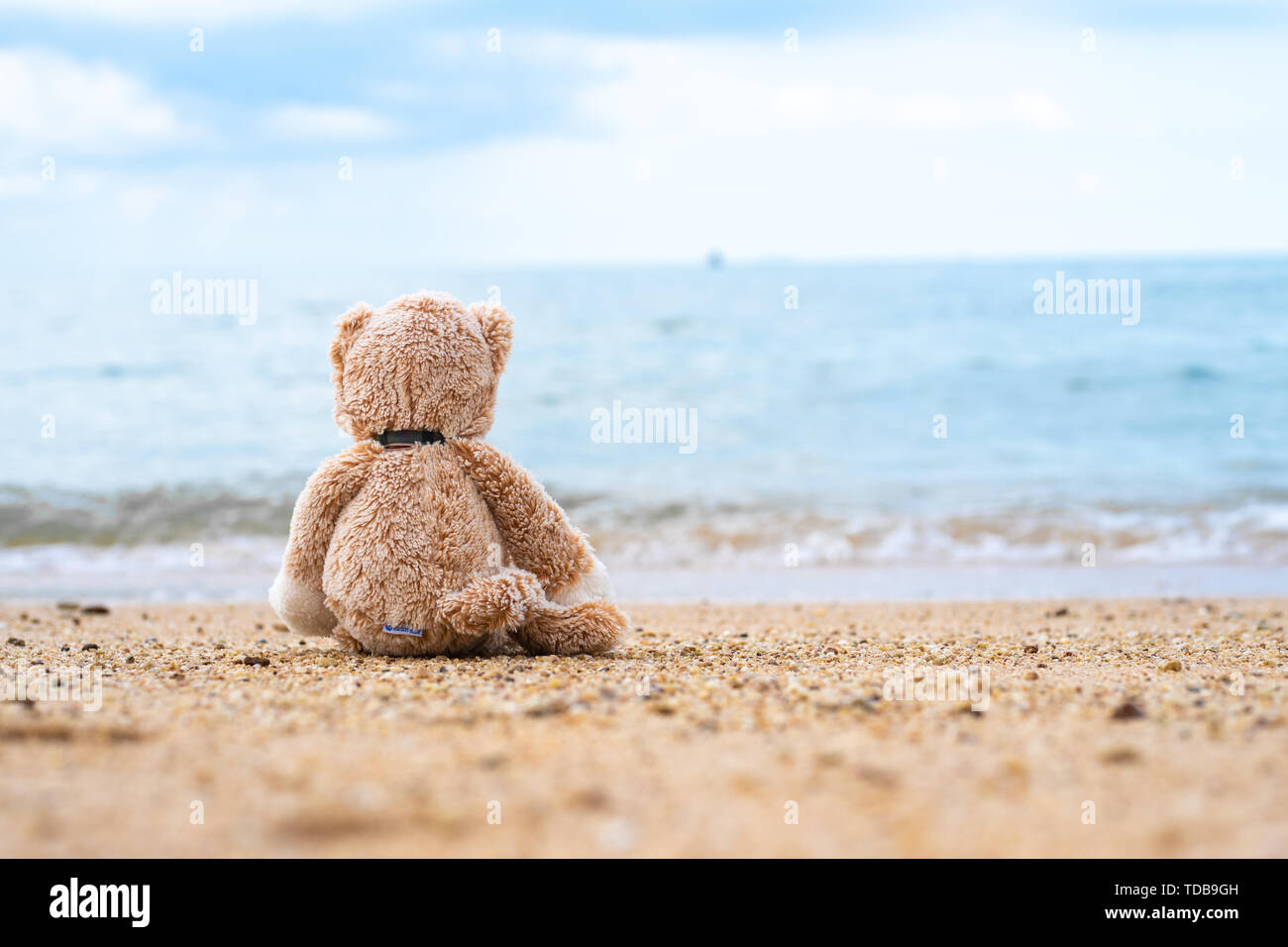 Teddy bear sit alone at the seashore Stock Photo - Alamy