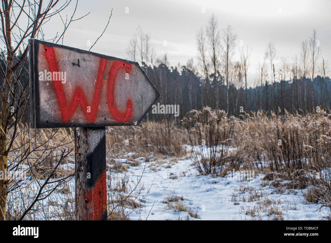 tourist direction signs in forest made of wood planks Stock Photo - Alamy