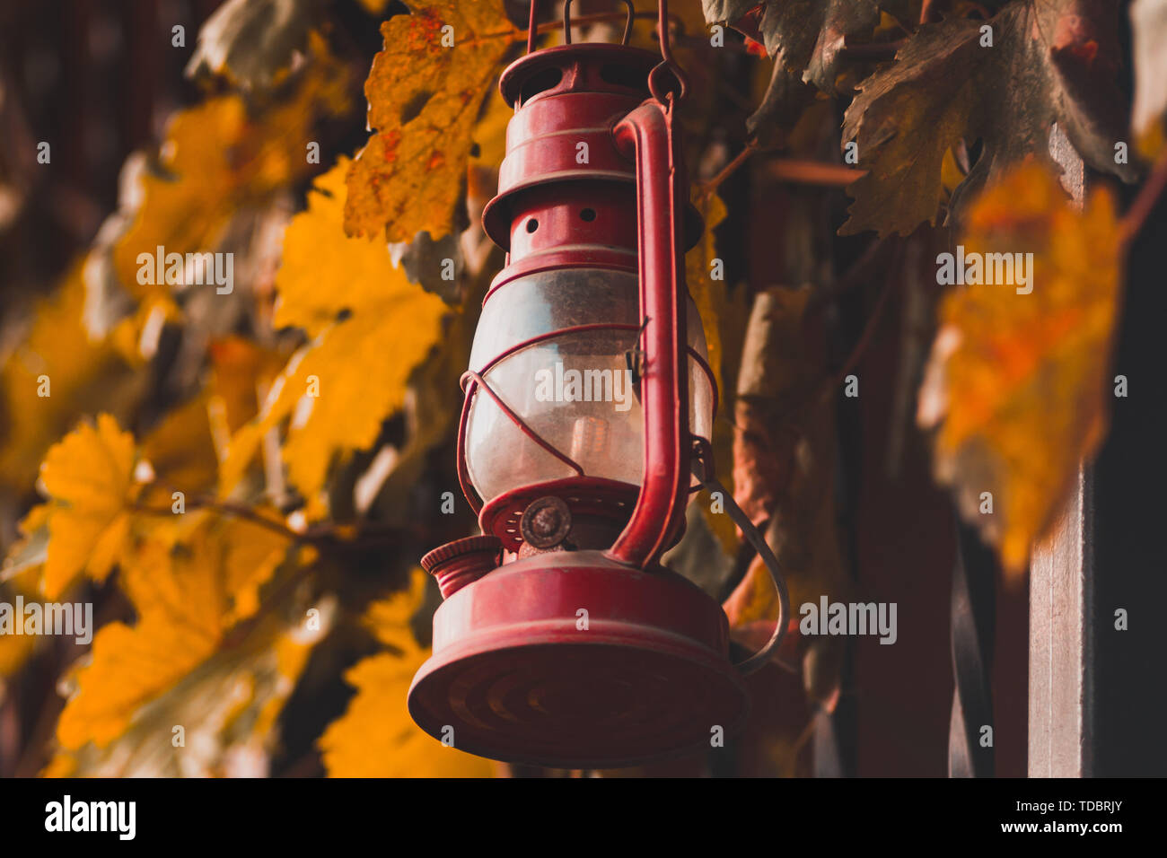 Red kerosene lamp on the fence with leaves Stock Photo Alamy