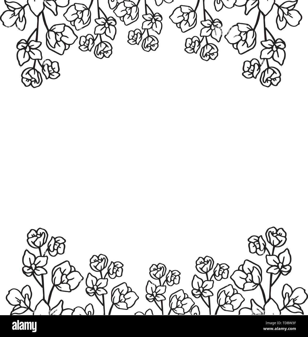 Vector illustration beautiful flower frame isolated with backdrop on a ...