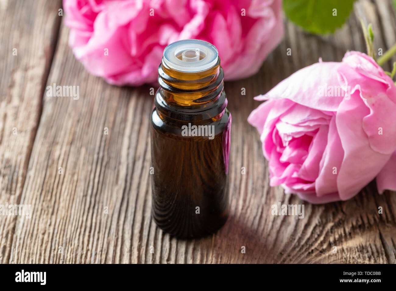 A bottle of essential oil with fresh cabbage roses Stock Photo Alamy